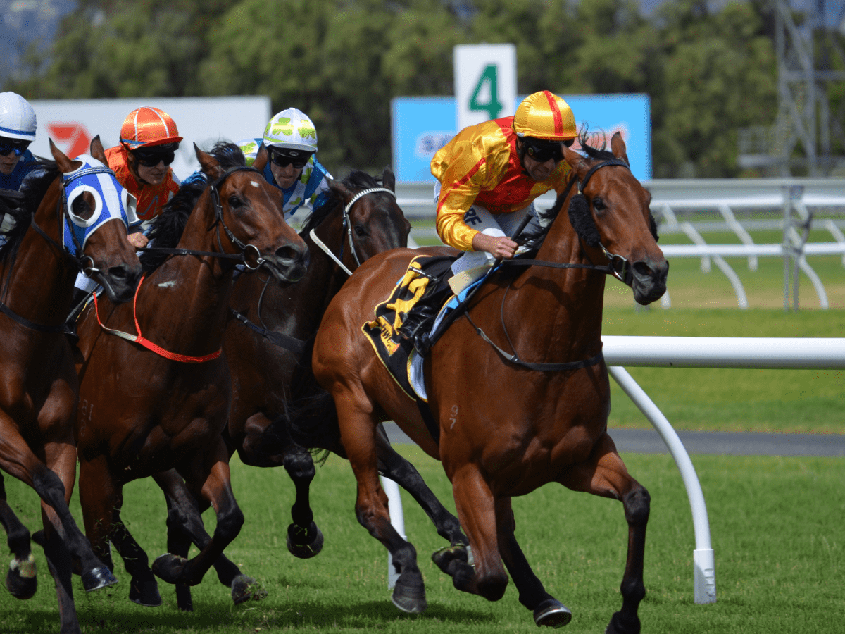 Grow and Give: Inspiring Marketing Ideas to Support Movember